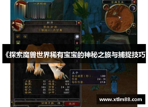 《探索魔兽世界稀有宝宝的神秘之旅与捕捉技巧》